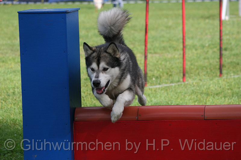 gluehwuermchen08 094 (108).jpg